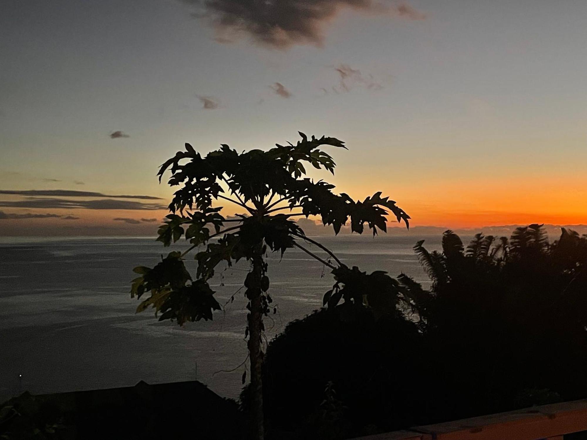 Gites La Nantillaise Bouillante Buitenkant foto